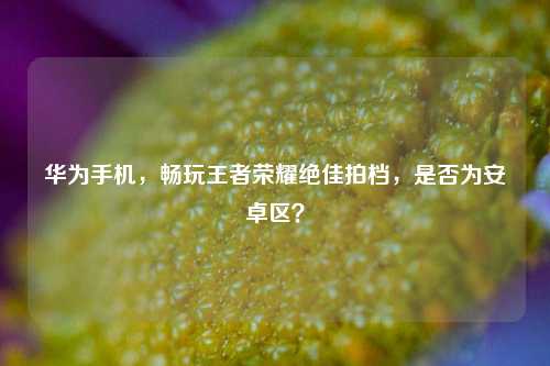 华为手机，畅玩王者荣耀绝佳拍档，是否为安卓区？