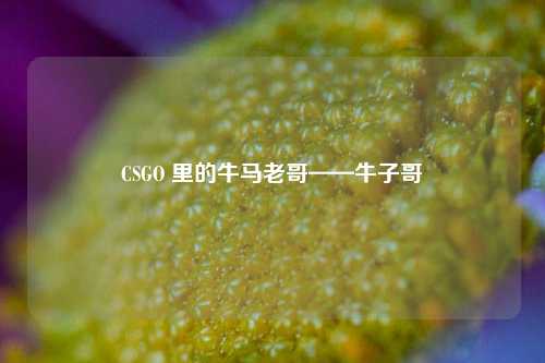 CSGO 里的牛马老哥——牛子哥