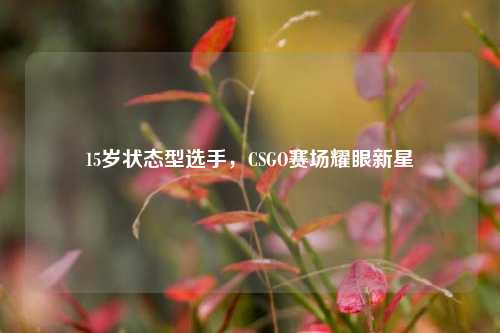 15岁状态型选手，CSGO赛场耀眼新星