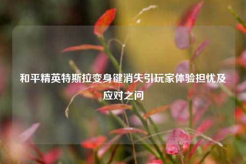 和平精英特斯拉变身键消失引玩家体验担忧及应对之问