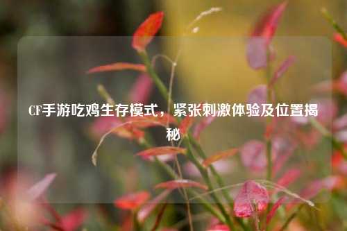 CF手游吃鸡生存模式，紧张刺激体验及位置揭秘