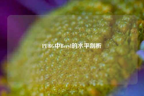 PUBG中Beryl的水平剖析