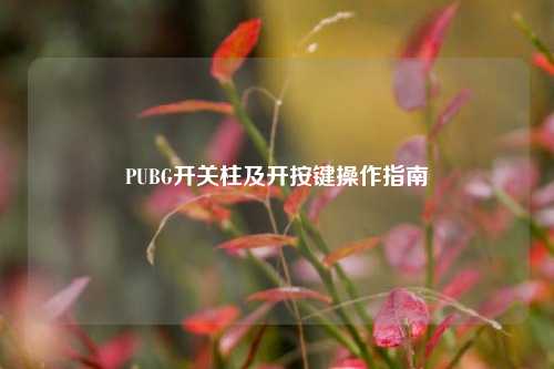 PUBG开关柱及开按键操作指南