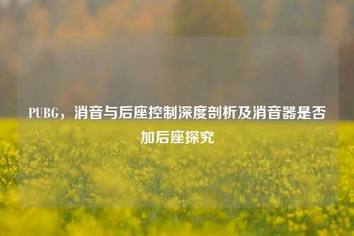 PUBG，消音与后座控制深度剖析及消音器是否加后座探究