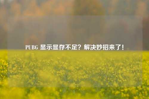 PUBG 显示显存不足？解决妙招来了！