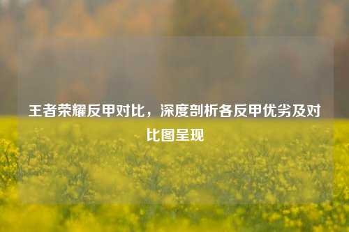 王者荣耀反甲对比，深度剖析各反甲优劣及对比图呈现