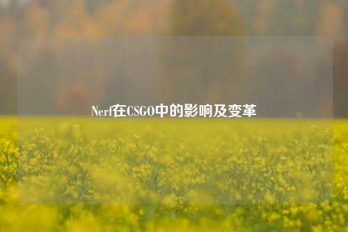 Nerf在CSGO中的影响及变革