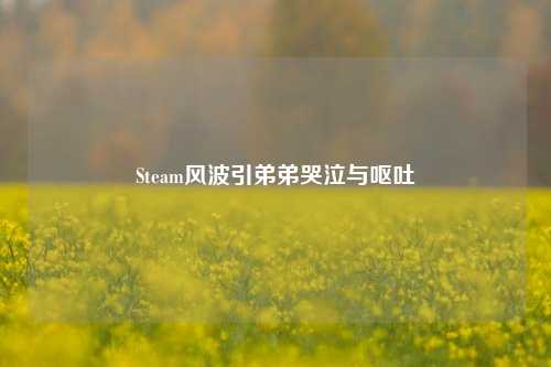 Steam风波引弟弟哭泣与呕吐