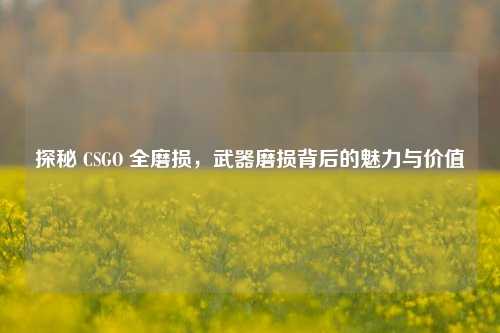 探秘 CSGO 全磨损，武器磨损背后的魅力与价值