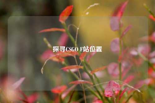 探寻CSGO F站位置