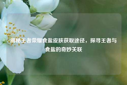 揭秘王者荣耀食盐皮肤获取途径，探寻王者与食盐的奇妙关联