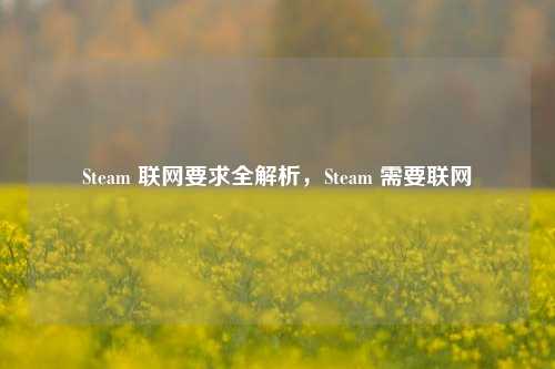 Steam 联网要求全解析，Steam 需要联网