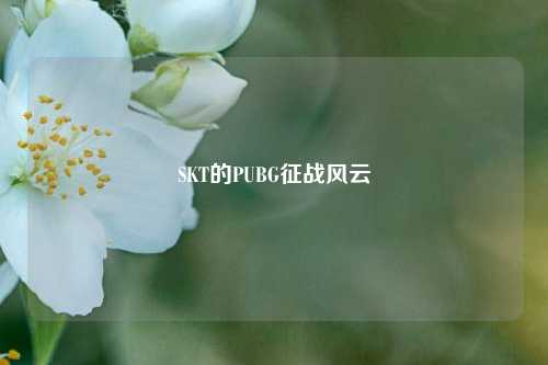 SKT的PUBG征战风云