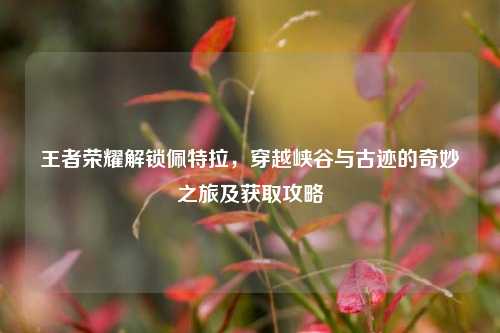 王者荣耀解锁佩特拉，穿越峡谷与古迹的奇妙之旅及获取攻略