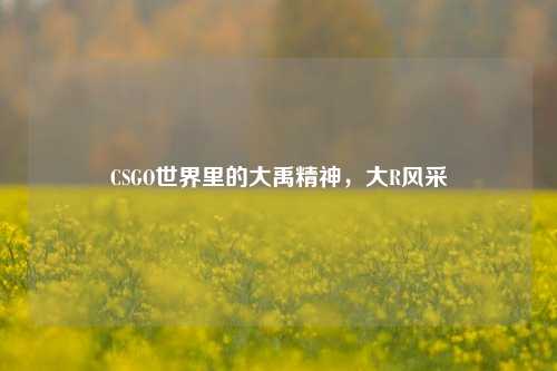 CSGO世界里的大禹精神，大R风采