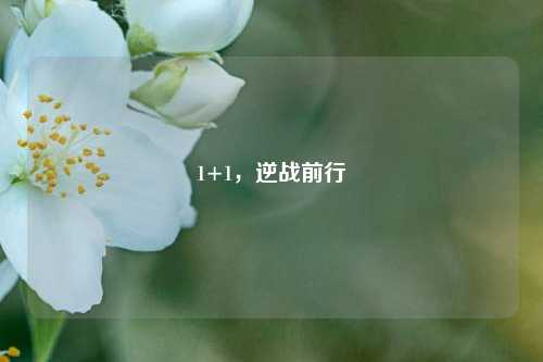 1+1，逆战前行