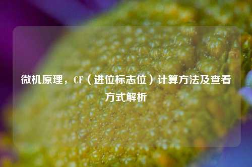 微机原理，CF（进位标志位）计算方法及查看方式解析