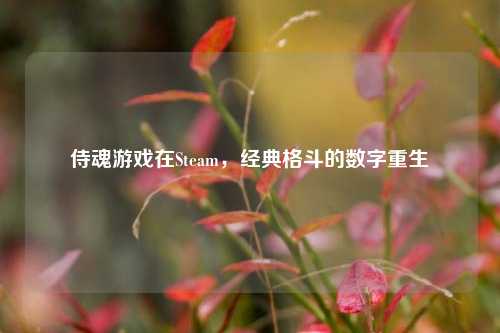 侍魂游戏在Steam，经典格斗的数字重生