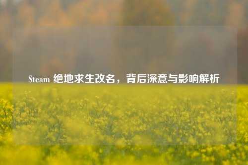 Steam 绝地求生改名，背后深意与影响解析