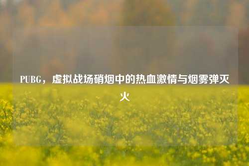 PUBG，虚拟战场硝烟中的热血激情与烟雾弹灭火