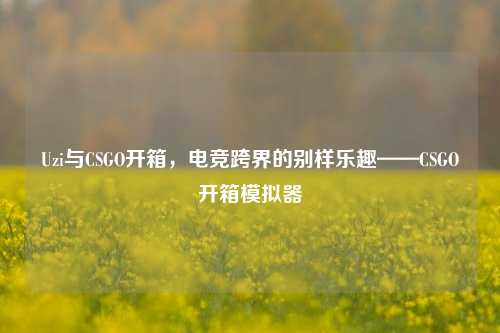 Uzi与CSGO开箱，电竞跨界的别样乐趣——CSGO开箱模拟器