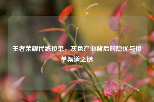 王者荣耀代练接单，灰色产业背后的隐忧与接单渠道之谜