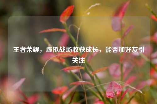 王者荣耀,虚拟战场收获成长,能否加好友引关注
