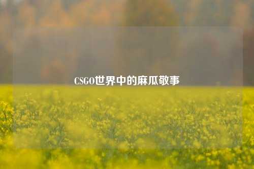 CSGO世界中的麻瓜敬事