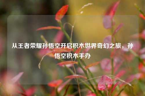从王者荣耀孙悟空开启积木世界奇幻之旅,孙悟空积木手办
