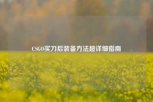 CSGO买刀后装备方法超详细指南