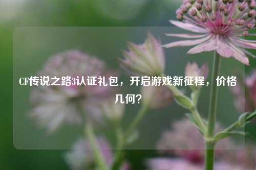CF传说之路3认证礼包,开启游戏新征程,价格几何?