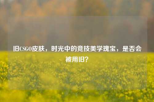 旧CSGO皮肤，时光中的竞技美学瑰宝，是否会被用旧？
