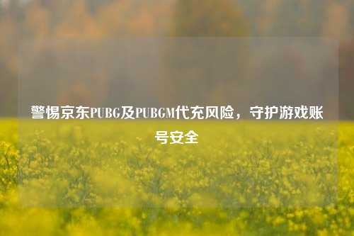 警惕京东PUBG及PUBGM代充风险，守护游戏账号安全