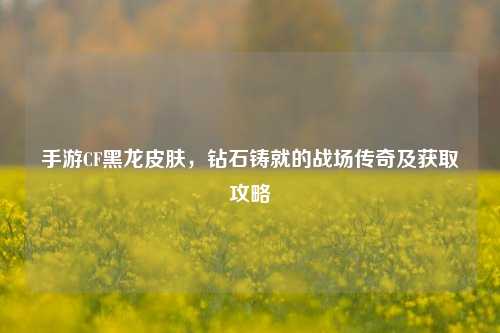 手游CF黑龙皮肤,钻石铸就的战场传奇及获取攻略