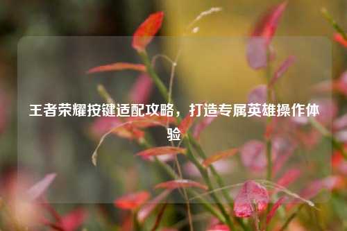 王者荣耀按键适配攻略,打造专属英雄操作体验