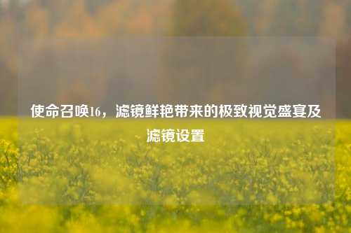 使命召唤16，滤镜鲜艳带来的极致视觉盛宴及滤镜设置