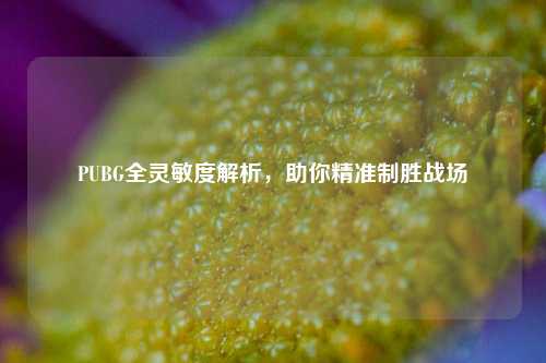 PUBG全灵敏度解析，助你精准制胜战场