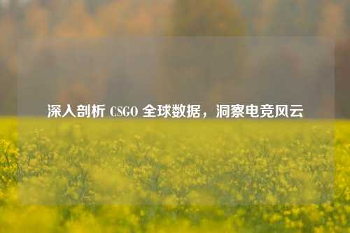深入剖析 CSGO 全球数据,洞察电竞风云