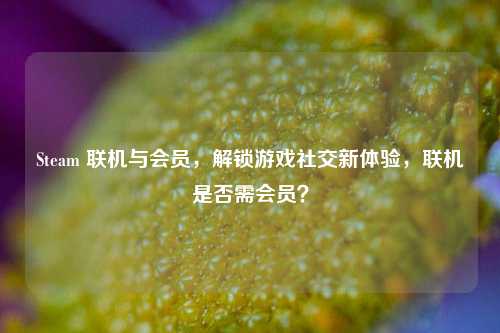 Steam 联机与会员,解锁游戏社交新体验,联机是否需会员?