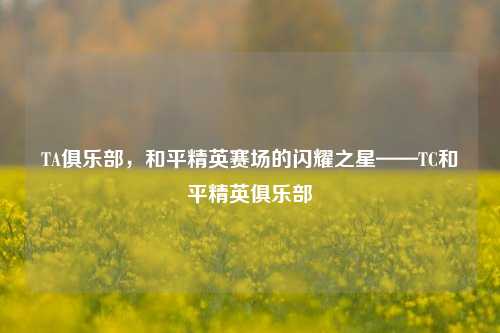 TA俱乐部，和平精英赛场的闪耀之星——TC和平精英俱乐部