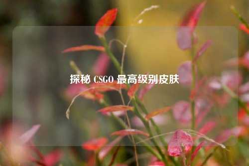 探秘 CSGO 最高级别皮肤