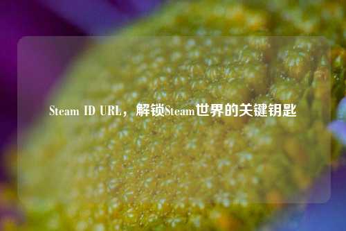 Steam ID URL，解锁Steam世界的关键钥匙