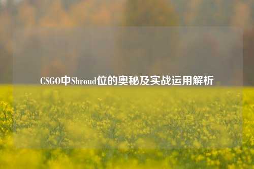 CSGO中Shroud位的奥秘及实战运用解析