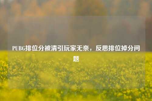 PUBG排位分被清引玩家无奈，反思排位掉分问题