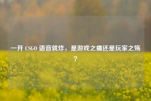 一开 CSGO 语音就炸，是游戏之痛还是玩家之殇？