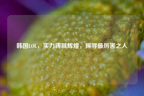 韩国LOL，实力铸就辉煌，探寻最厉害之人