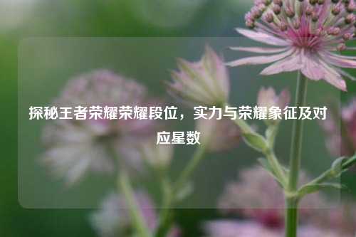 探秘王者荣耀荣耀段位，实力与荣耀象征及对应星数