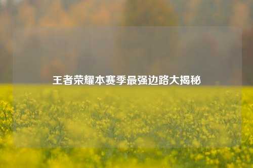 王者荣耀本赛季最强边路大揭秘