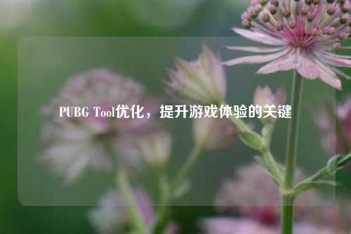 PUBG Tool优化,提升游戏体验的关键
