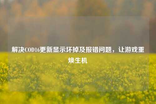 解决COD16更新显示坏掉及报错问题,让游戏重焕生机